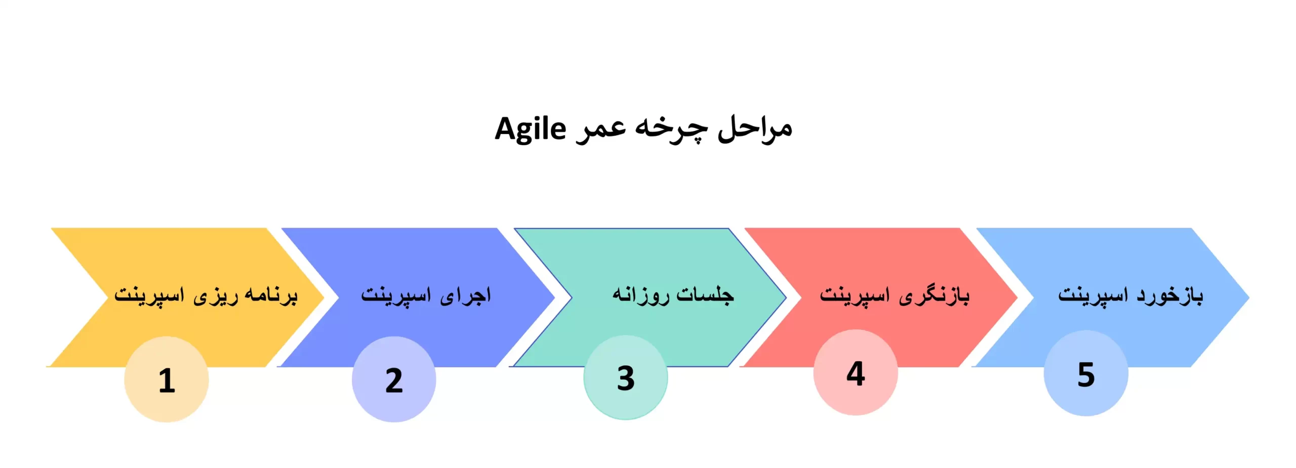 چرخه عمر Agile